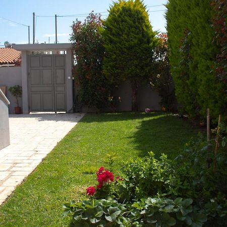 Elias Studio - Near To The Port Of Rafina And The Airport Of Athens Agios Spyridon  Екстер'єр фото